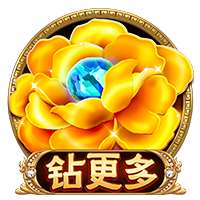 星空真人安卓版